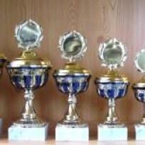 10er Serie Pokale gold-blau 20 bis 31cm #1858