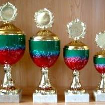 5er Serie Pokale rot-grün-gold 27 bis 34 cm #1385