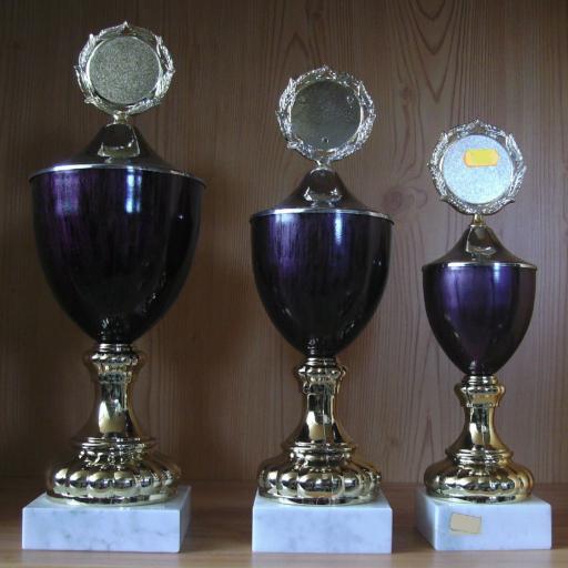 3 Pokale 10.6