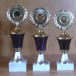 3 Pokale Deckel fest 20 bis 22 cm #155