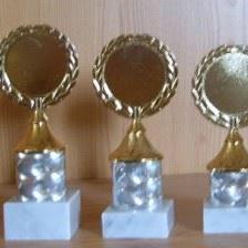 3 Ehrenrpeise 15 bis 17 cm #781