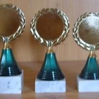 3 Ehrenpreise Kunststoff 13,5 bis 15,5cm #885
