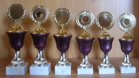 6er Serie Pokale Kunststoff lila 21 bis 25 cm #160