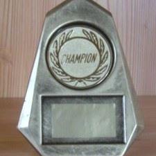 Ehrenpreis Kunststoff ca. 12cm #207