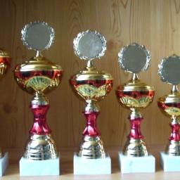 10er Serie Pokale gold-rot 23 bis 34cm #10.62