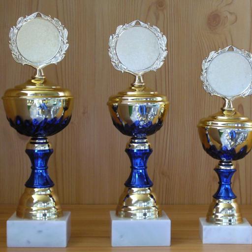 Pokale 35 bis 27 cm  gold-blau #1165 S