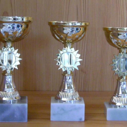 3 Pokale ohne Deckel 15 bis 17cm #1237