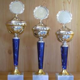 3er Serie Pokale gold-blau 31 bis 35,5cm #1238