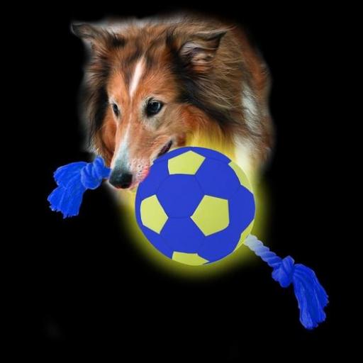 Aqua Ball 2