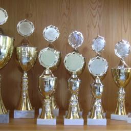 10er Serie Pokale gold 23 bis 40cm # E122
