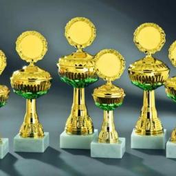 6er Serie Pokale gold-grün 22 bis 28 cm #2