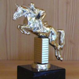 Spring-Reiten