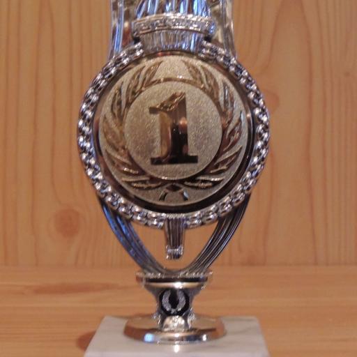 Ehrenpreis Kunststoff mit Marmor 14,5cm #DA 3