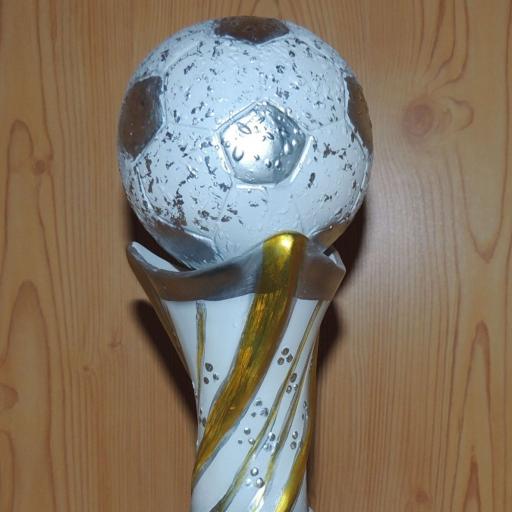 Fußball Weltpokal 2