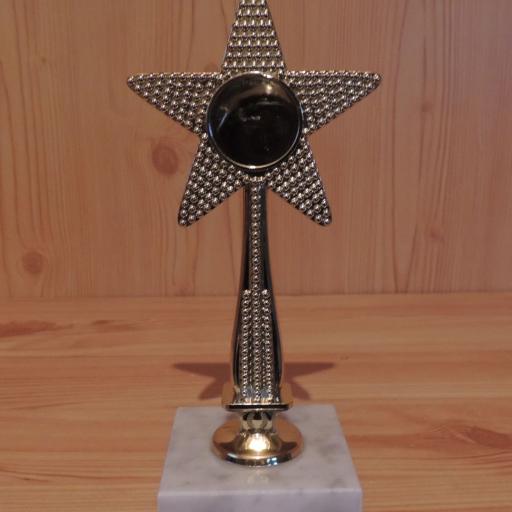 Stern aus Kunststoff mit Marmor 18cm #1
