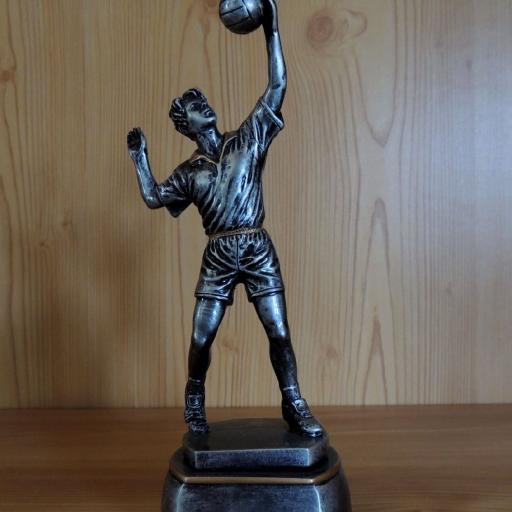 Volleyball Herren