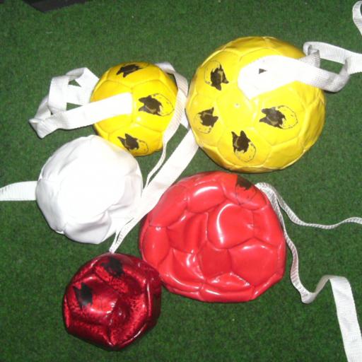 Dog Soccer