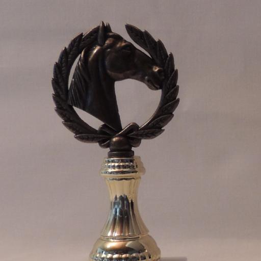 Reiten Pferdekopf 22158